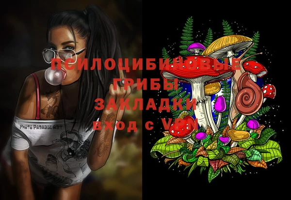 гашик Ладушкин