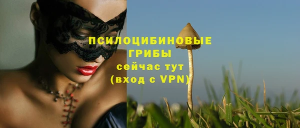 гашик Ладушкин