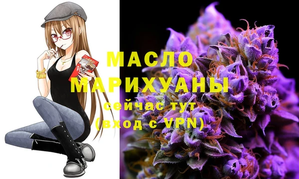гашик Ладушкин
