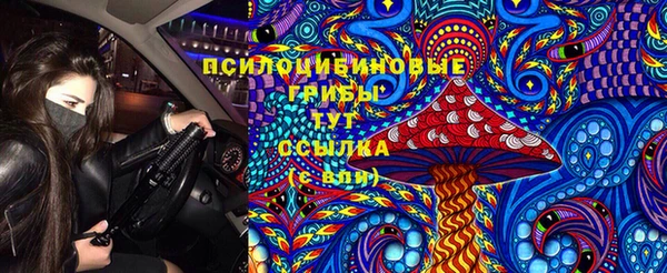 гашик Ладушкин
