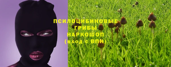 амф Лагань