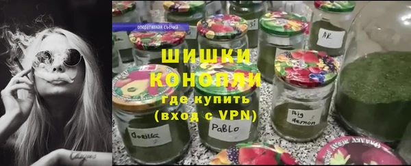 гашик Ладушкин