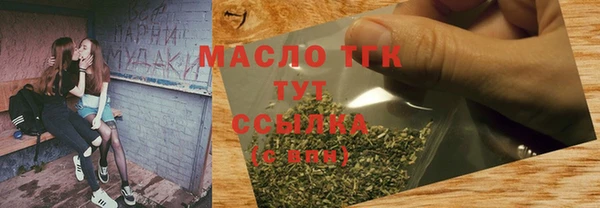 гашик Ладушкин