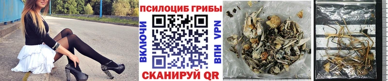 Купить закладки  Мураши  Галлюциногенные грибы Psilocybe 
